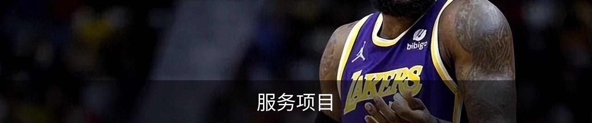 服务项目